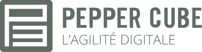 Agence digitale Pepper Cube