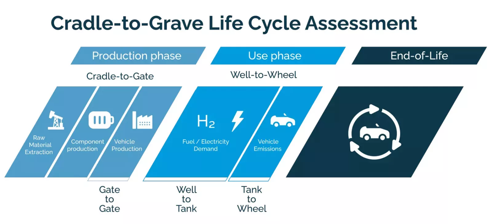 Life cycle